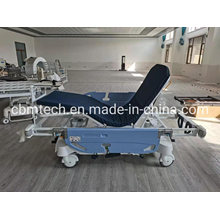 Wholesale Adjustable Hospital Beds with Top Quality